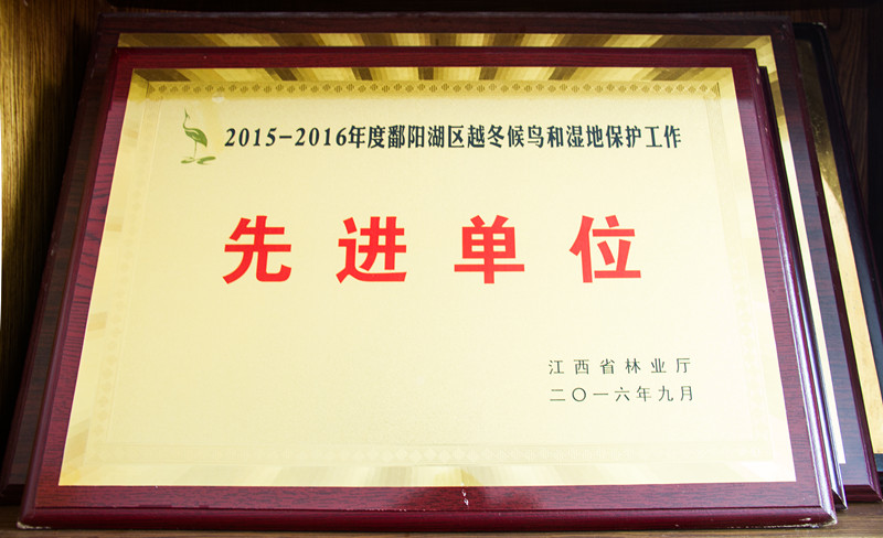 2016۶ԽʪرȽλ